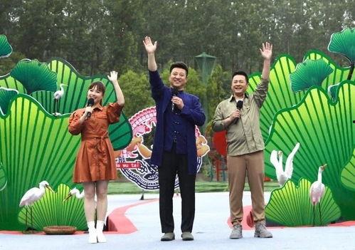 乐山酒店爆料视频最新2020,揭秘酒店行业背后真相